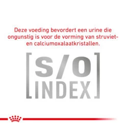 Royal Canin Diabetic Kat - Maaltijdzakje 16 Royal Canin Diabetic Kat - Maaltijdzakje -Katten Benodigdheden royal canin diabetic kat 156692 2000 none