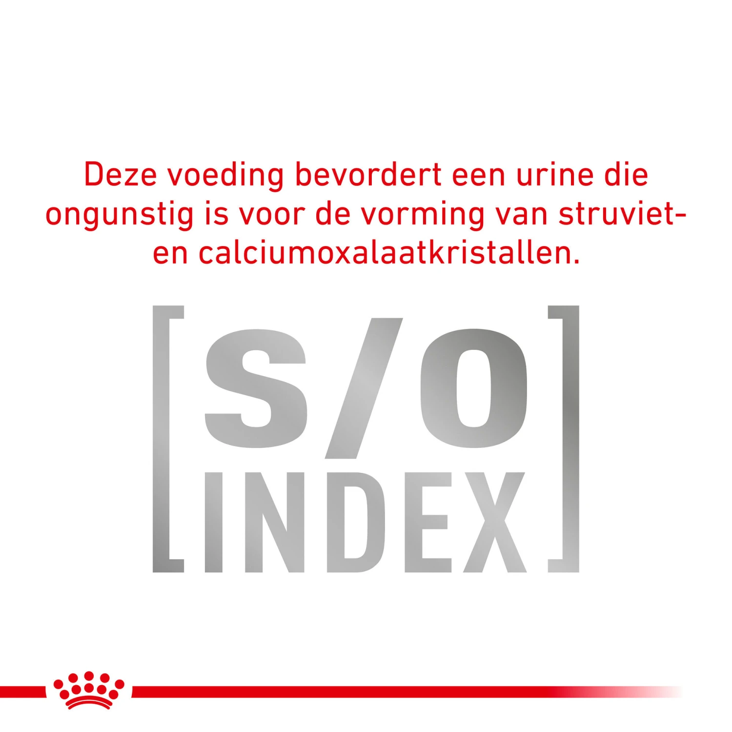 Royal Canin Diabetic Kat - Maaltijdzakje 7 Royal Canin Diabetic Kat - Maaltijdzakje - Afbeelding 7