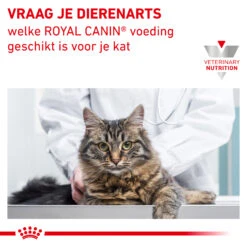 Royal Canin Diabetic Kat - Maaltijdzakje 17 Royal Canin Diabetic Kat - Maaltijdzakje -Katten Benodigdheden royal canin diabetic kat 156701 2000 none