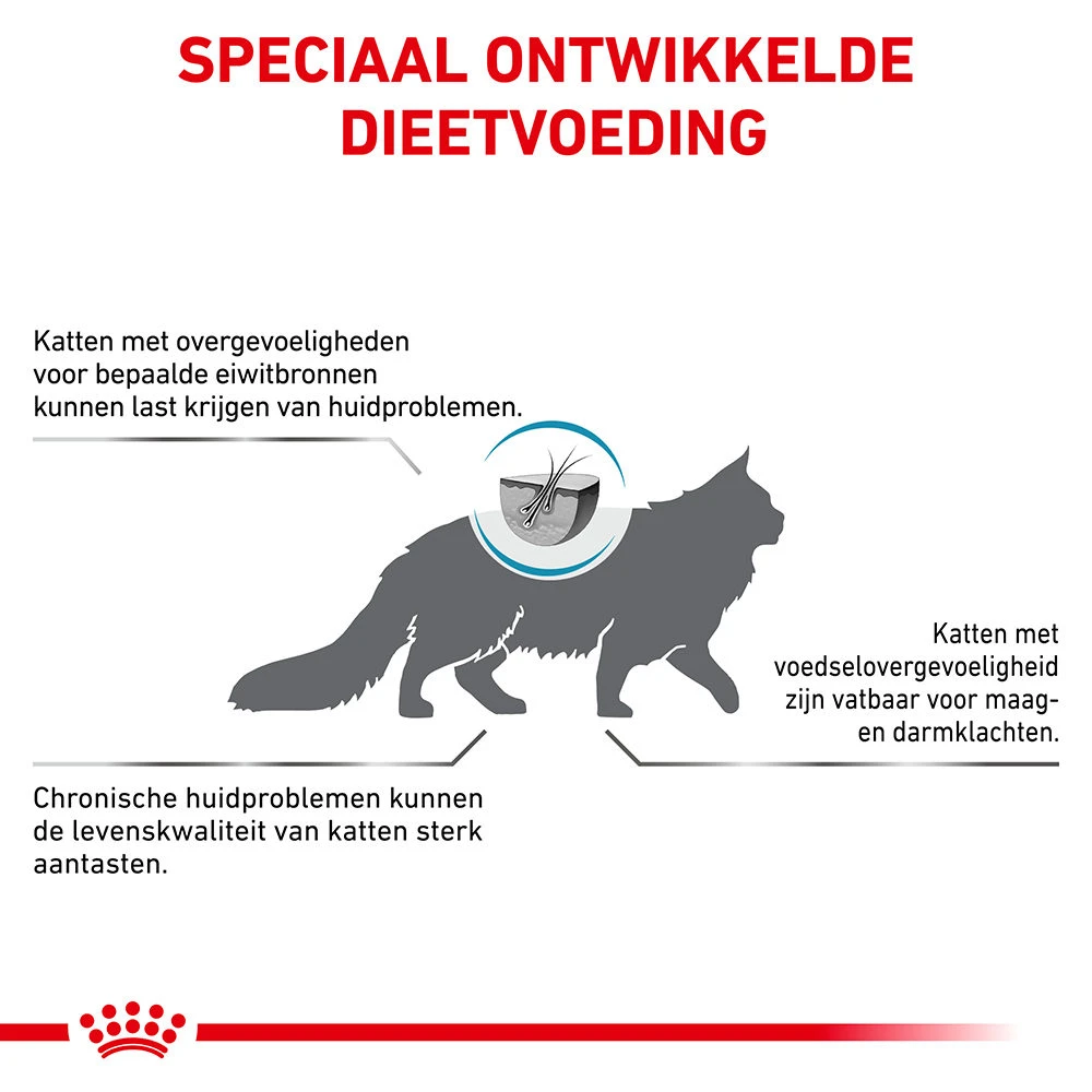 Royal Canin Hypoallergenic Kat 5 Royal Canin Hypoallergenic Kat - Afbeelding 5