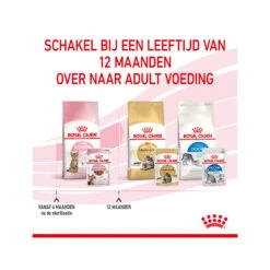 Royal Canin Kitten Sterilised In Gravy - Maaltijdzakje 24 Royal Canin Kitten Sterilised In Gravy - Maaltijdzakje -Katten Benodigdheden royal canin kitten sterilised in gravy maaltijdzakje 207245 2000 none
