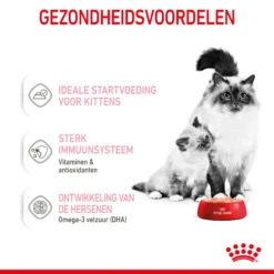 Royal Canin Mother & Babycat Mousse - Kattenvoer 14 Royal Canin Mother & Babycat Mousse - Kattenvoer -Katten Benodigdheden royal canin mother babycat mousse kattenvoer 207053 2000 none