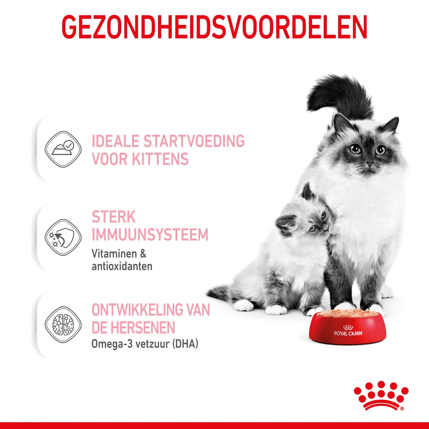Royal Canin Mother & Babycat Mousse - Kattenvoer 5 Royal Canin Mother & Babycat Mousse - Kattenvoer - Afbeelding 5