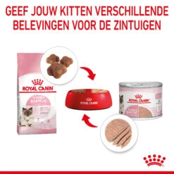 Royal Canin Mother & Babycat Mousse - Kattenvoer 15 Royal Canin Mother & Babycat Mousse - Kattenvoer -Katten Benodigdheden royal canin mother babycat mousse kattenvoer 207056 2000 none