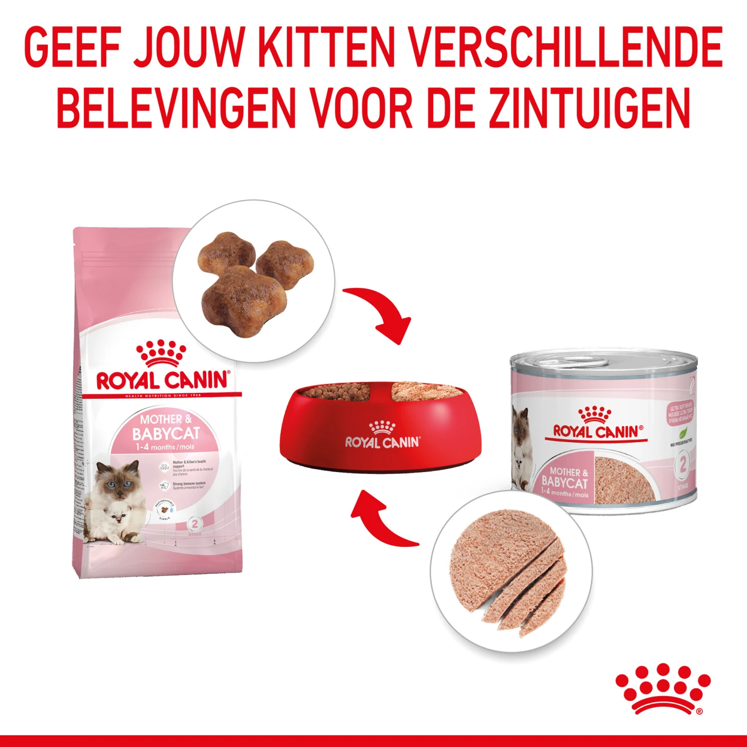 Royal Canin Mother & Babycat Mousse - Kattenvoer 6 Royal Canin Mother & Babycat Mousse - Kattenvoer - Afbeelding 6