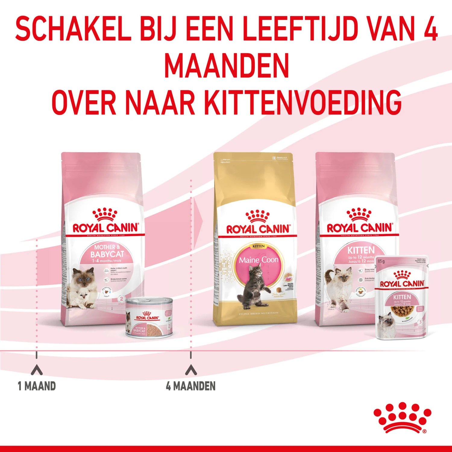 Royal Canin Mother & Babycat Mousse - Kattenvoer 8 Royal Canin Mother & Babycat Mousse - Kattenvoer - Afbeelding 8
