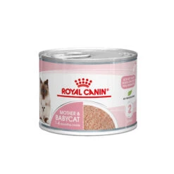 Royal Canin Mother & Babycat Mousse - Kattenvoer 12 Royal Canin Mother & Babycat Mousse - Kattenvoer -Katten Benodigdheden royal canin mother babycat mousse kattenvoer 207077 2000 none