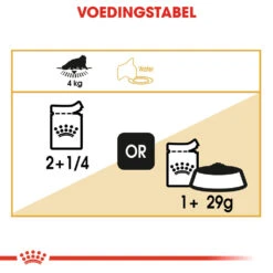 Royal Canin Persian Adult Wet - Kattenvoer 15 Royal Canin Persian Adult Wet - Kattenvoer -Katten Benodigdheden royal canin persian adult wet kattenvoer 126098 1000 none