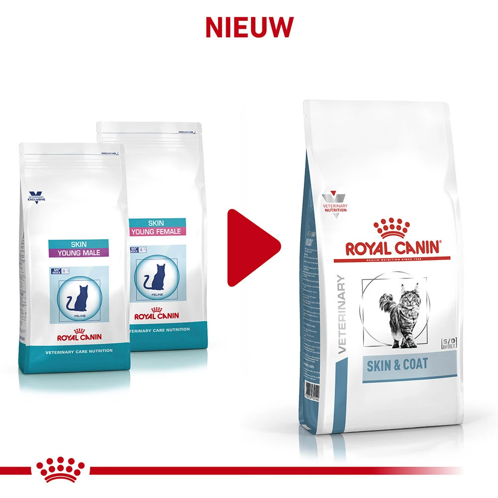 Royal Canin Skin & Coat 10 Royal Canin Skin & Coat - Afbeelding 10