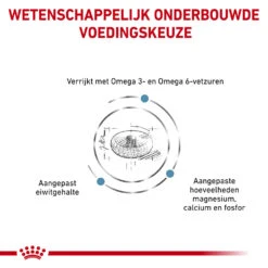 Royal Canin Skin & Coat 16 Royal Canin Skin & Coat -Katten Benodigdheden royal canin skin coat 153328 1000 none