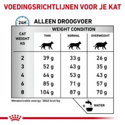 Royal Canin Skin & Coat 19 Royal Canin Skin & Coat -Katten Benodigdheden royal canin skin coat 153331 1000 none