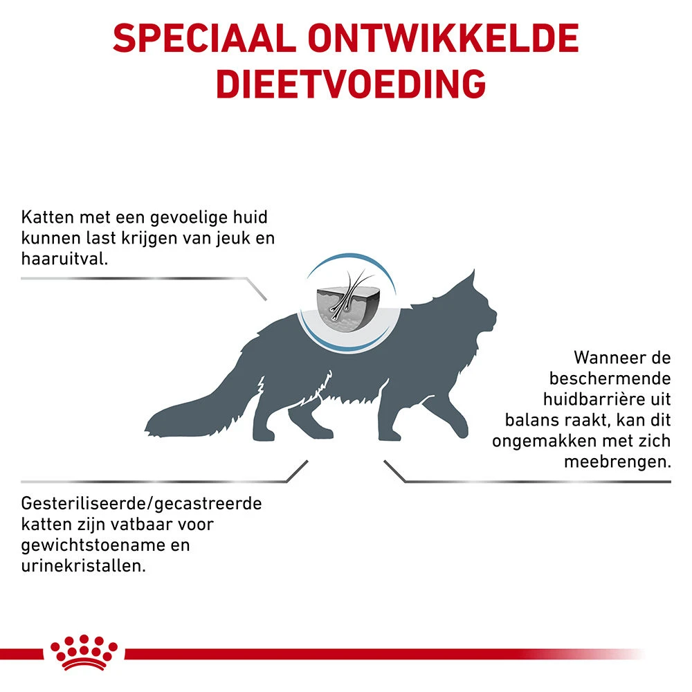 Royal Canin Skin & Coat 4 Royal Canin Skin & Coat - Afbeelding 4