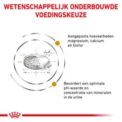 Royal Canin Urinary S/O Kat - Maaltijdzakje 23 Royal Canin Urinary S/O Kat - Maaltijdzakje -Katten Benodigdheden royal canin urinary so kat 153808 1000 none