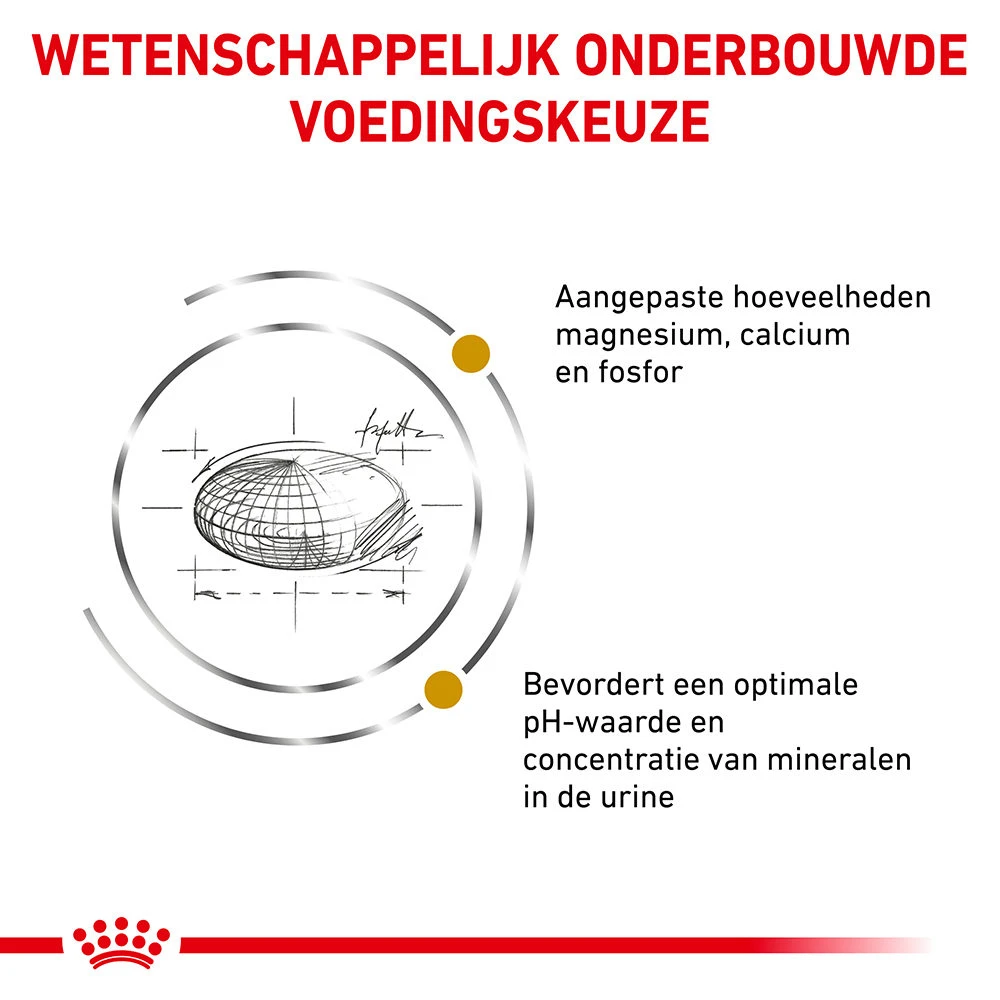 Royal Canin Urinary S/O Kat - Maaltijdzakje 11 Royal Canin Urinary S/O Kat - Maaltijdzakje - Afbeelding 11