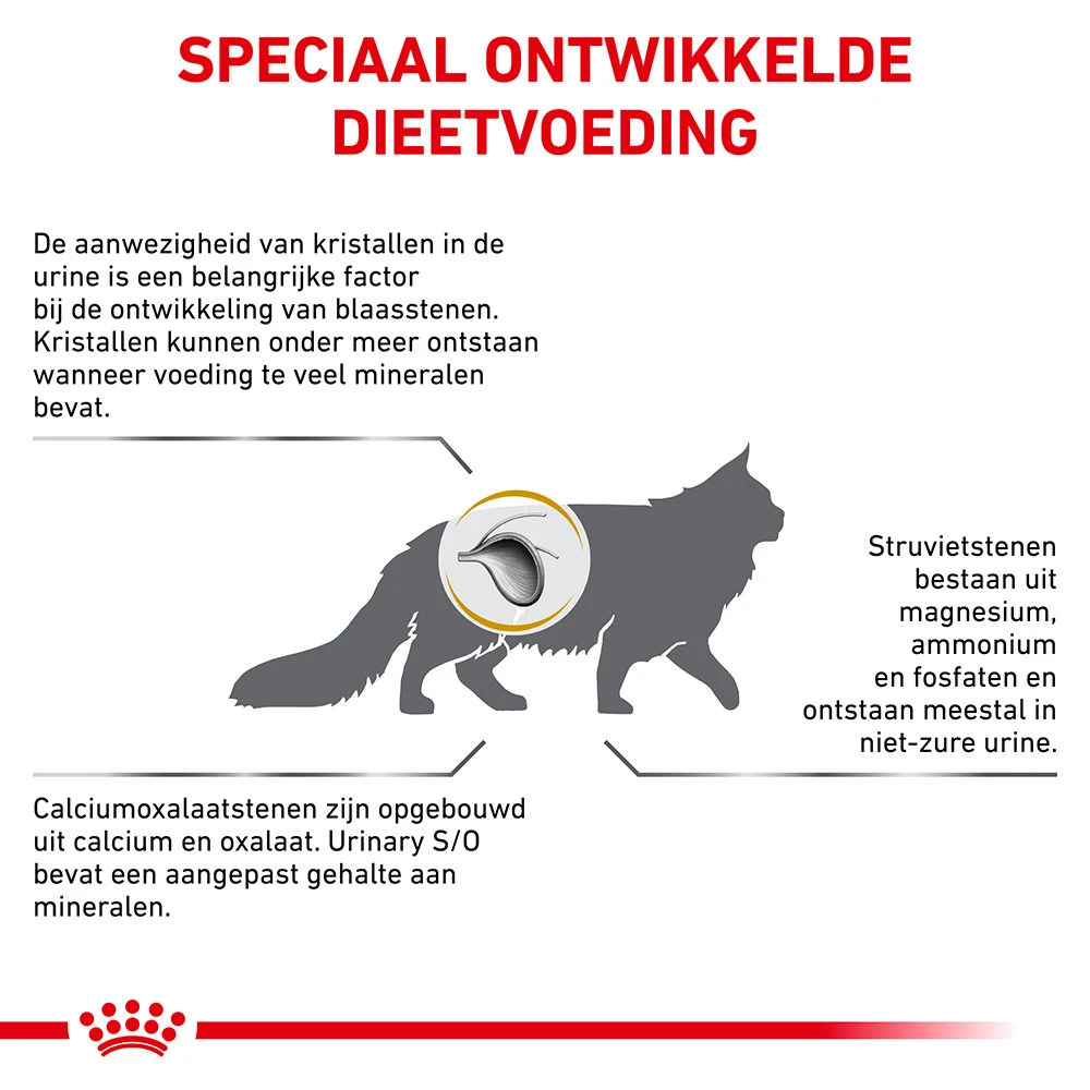 Royal Canin Urinary S/O Kat 8 Royal Canin Urinary S/O Kat - Afbeelding 8