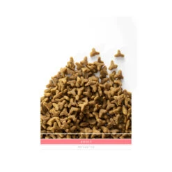 SANIMED Adult Cat -Katten Benodigdheden sanimed adult cat 159182 1500 none