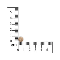 Sensipharm Sneeze Aid Kat -Katten Benodigdheden sensipharm sneeze aid kat 174685 1000 none