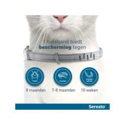 Seresto Kat -Katten Benodigdheden seresto kat 174145 0500 none