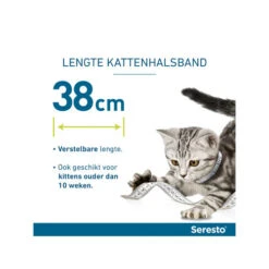 Seresto Kat -Katten Benodigdheden seresto kat 174148 0500 none