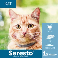 Seresto Kat -Katten Benodigdheden seresto kat 182296 1000 none