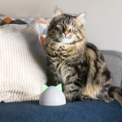 Sureflap Sure Petcare Hub -Katten Benodigdheden sure petcare hub 219855 2000 none