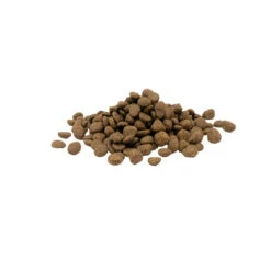 Versele-Laga Opti Life Sensitive 10 Versele-Laga Opti Life Sensitive -Katten Benodigdheden versele laga opti life sensitive 199883 0500 none