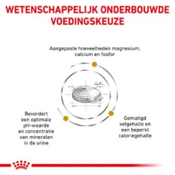 Royal Canin Urinary S/O Moderate Calorie Kat 24 Royal Canin Urinary S/O Moderate Calorie Kat -Katten Benodigdheden wkq5tOf7itu7AKk3vEJZwKkT3xC5PT metacm95YWxfY2FuaW5fdXJpbmFyeV9zb19tb2RlcmF0ZV9jYWxvcmllX2thdF8xNTM3OTZfMTAwMF9ub25lLmpwZw