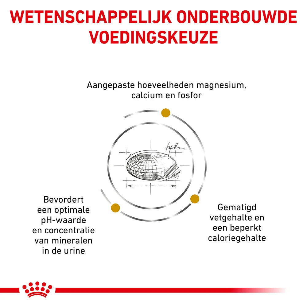 Royal Canin Urinary S/O Moderate Calorie Kat 12 Royal Canin Urinary S/O Moderate Calorie Kat - Afbeelding 12