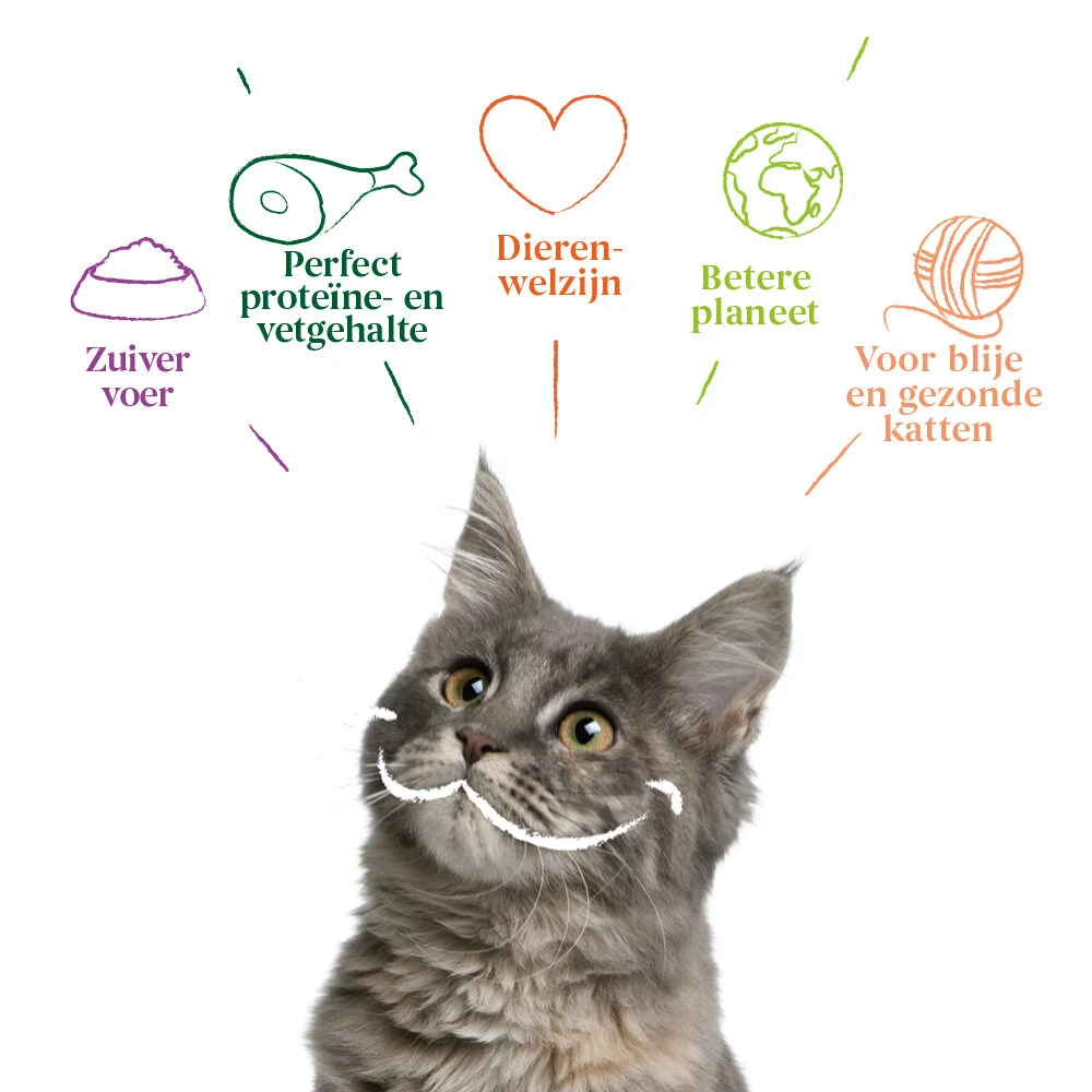 Yarrah - Natvoer Kat Kuipje Chunks Met Kip & Vis Bio - Afbeelding 4