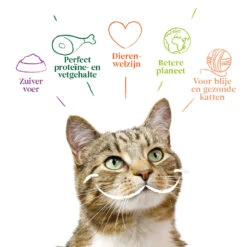 Yarrah - Paté Kat Kuipje Met Rund Bio -Katten Benodigdheden yarrah pat kat kuipje met rund bio 201059 1000 none